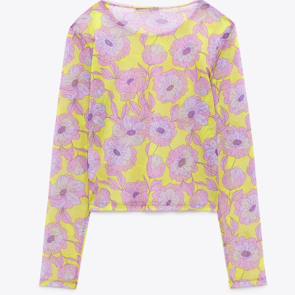 Zara Sheer Floral Tee Shirt View 3